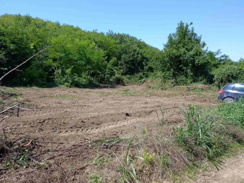 Sale, land lot, 800m², Krčedin, Inđija