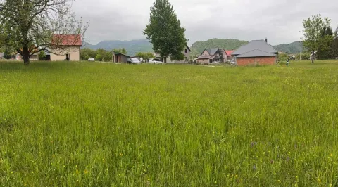 Zemljište in Drijenak