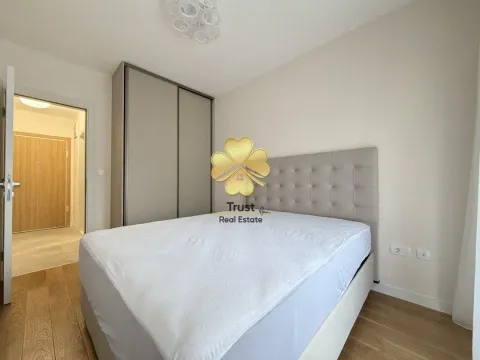 Izdavanje, jednosoban stan, 50m², Central Point, Podgorica - image 10