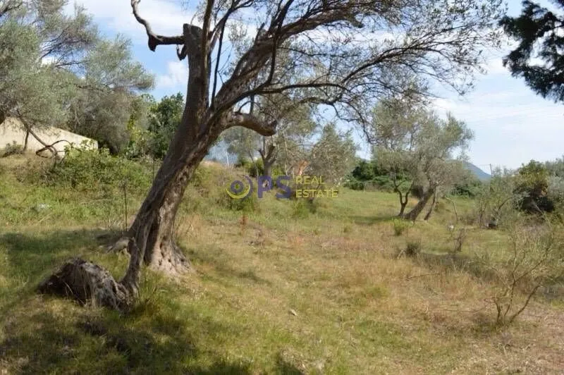 Prodaja, plac, 3200m², Bar, Crna Gora