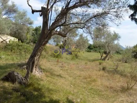 Prodaja, plac, 3200m², Bar, Crna Gora - image 2