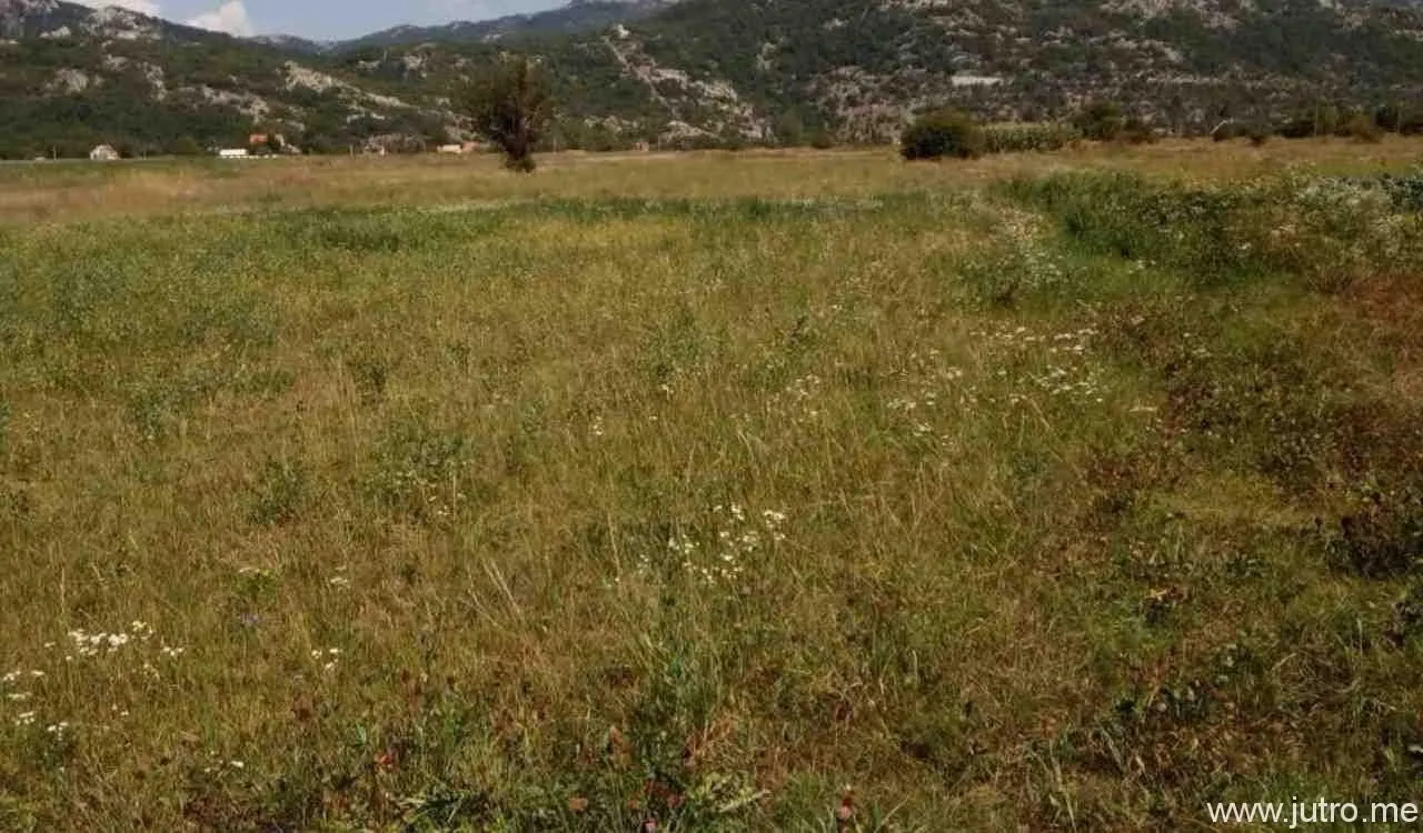 Sale, land lot, 8500m², Grahovo, Nikšić