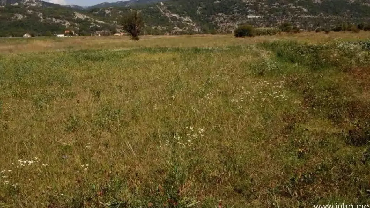 Sale, land lot, 8500m², Grahovo, Nikšić