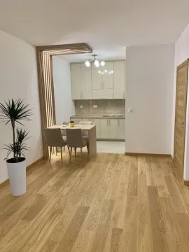 Izdavanje, jednosoban stan, 48m², City Kvart, Podgorica - image 10