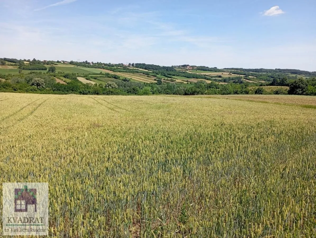 Prodaja, plac, 10000m², Draževac, Obrenovac