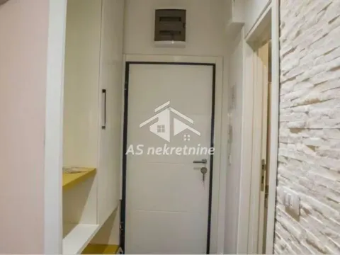 Izdavanje, dvosoban stan, 43m², Južni Bulevar, Vračar Sve Podlokacije - image 12