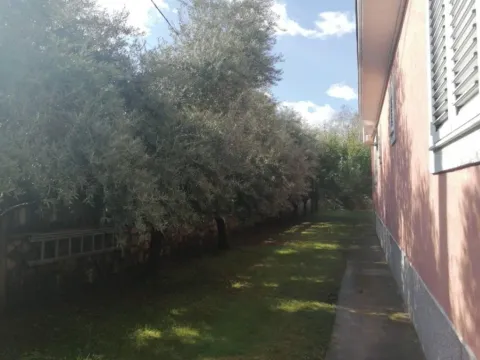 Izdavanje, kuća, 350m², Donja Gorica, Podgorica - image 4