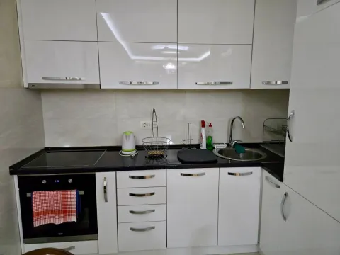 Izdavanje, jednosoban stan, 49m², Central Point, Podgorica - image 4