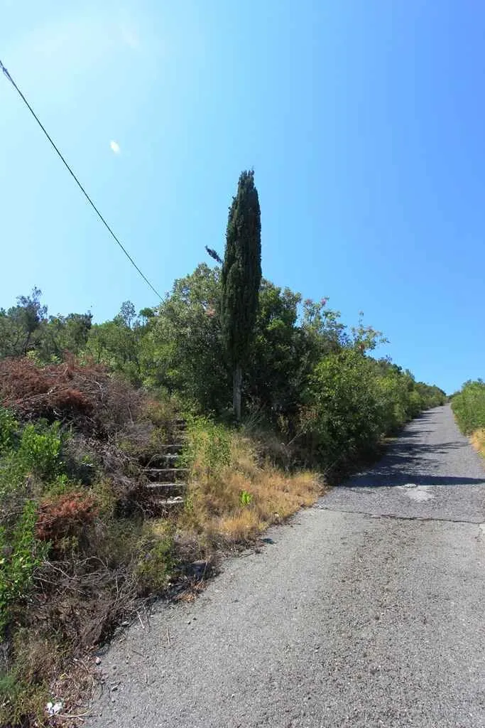 Asfaltni prilazni put do placa sa zelenilom i drvećem.