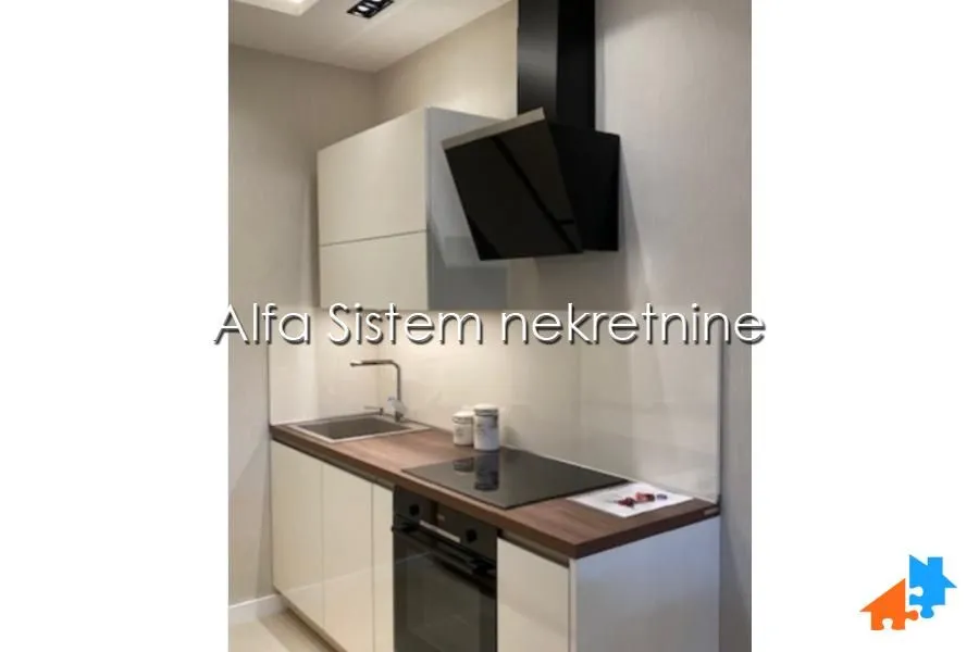 Izdavanje, dvosoban stan, 50m², Novi Beograd Blok 67, Novi Beograd Sve Podlokacije
