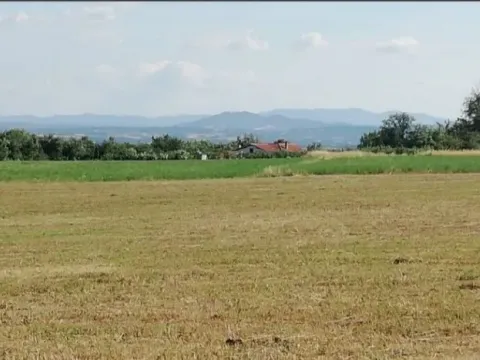 Prodaja, plac, 19500m², Koraćica, Mladenovac - image 7