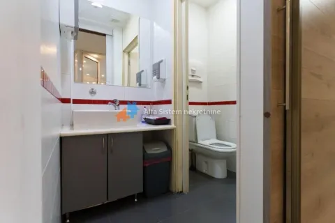 View of the bathroom with a sink, mirror, and toilet. - image 15