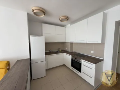 Rent, two bedroom apartment, 44m², Vračar Sve Podlokacije, Beograd - image 5