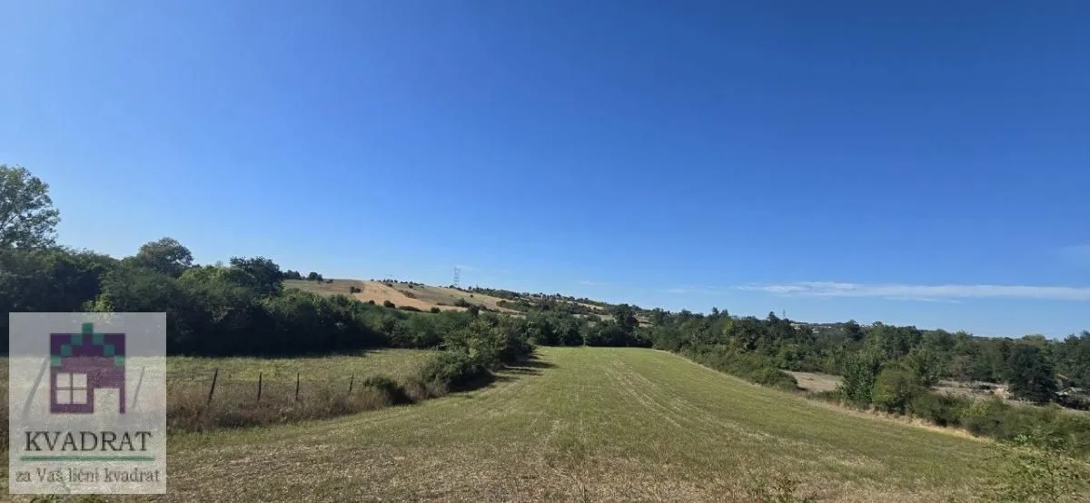 Pogled na zeleni plac sa travnjakom i rastinjem.
