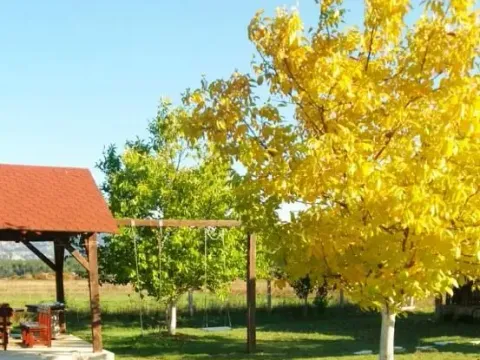 Sale, land lot, 3800m², Grahovo, Nikšić - image 5