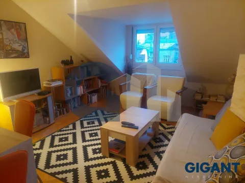 Sale, one bedroom apartment, 41m², Cvetni Trg, Vračar Sve Podlokacije