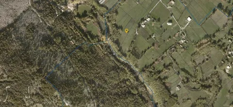Sale, land lot, 5181m², Ćurilac, Danilovgrad - image 8