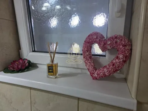 Rent, one bedroom apartment, 26m², Kalenić Pijaca, Vračar Sve Podlokacije - image 11