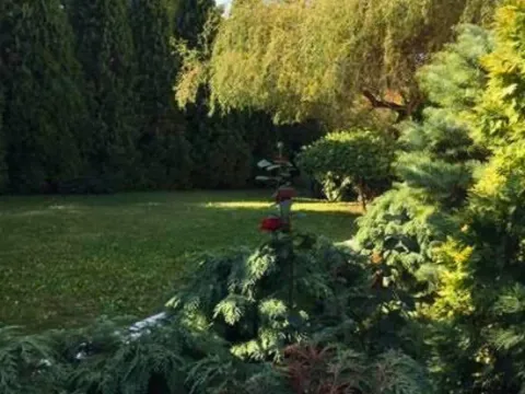 Sale, house, 800m², Dedinje Sve Podlokacije, Beograd - image 2