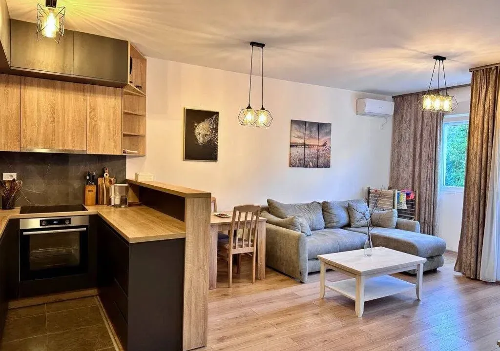 Rent, one bedroom apartment, 48m², Bijeli Do, Budva