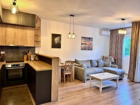 Rent, one bedroom apartment, 48m², Bijeli Do, Budva - image 1