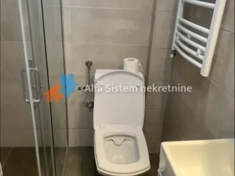 Izdavanje, dvosoban stan, 40m², Savski Venac, Beograd - image 14