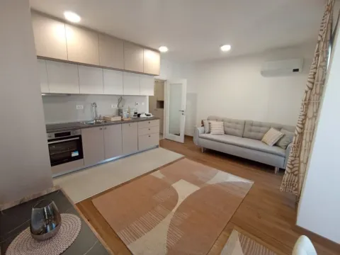 Izdavanje, garsonjera, 40m², Preko Morače, Podgorica - image 5