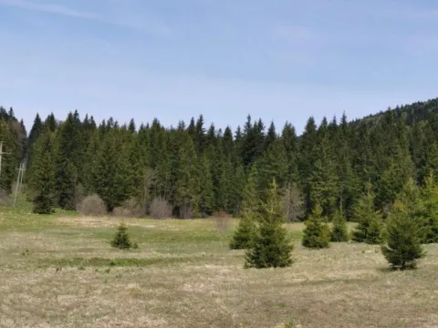 Prodaja, plac, 8600m², Tara, Srbija - image 2