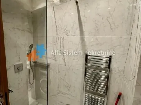 Izdavanje, stan, 350m², Južni Bulevar, Vračar Sve Podlokacije - image 12