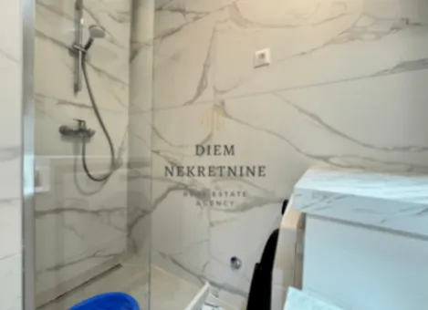 Izdavanje, jednosoban stan, 45m², Stari Aerodrom, Podgorica - image 5