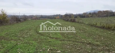 Prodaja, plac, 1000m², Sopot, Beograd - image 6