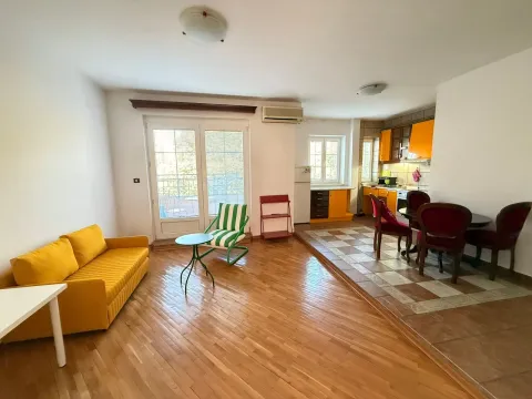 Izdavanje, jednosoban stan, 50m², Centar, Podgorica - image 7