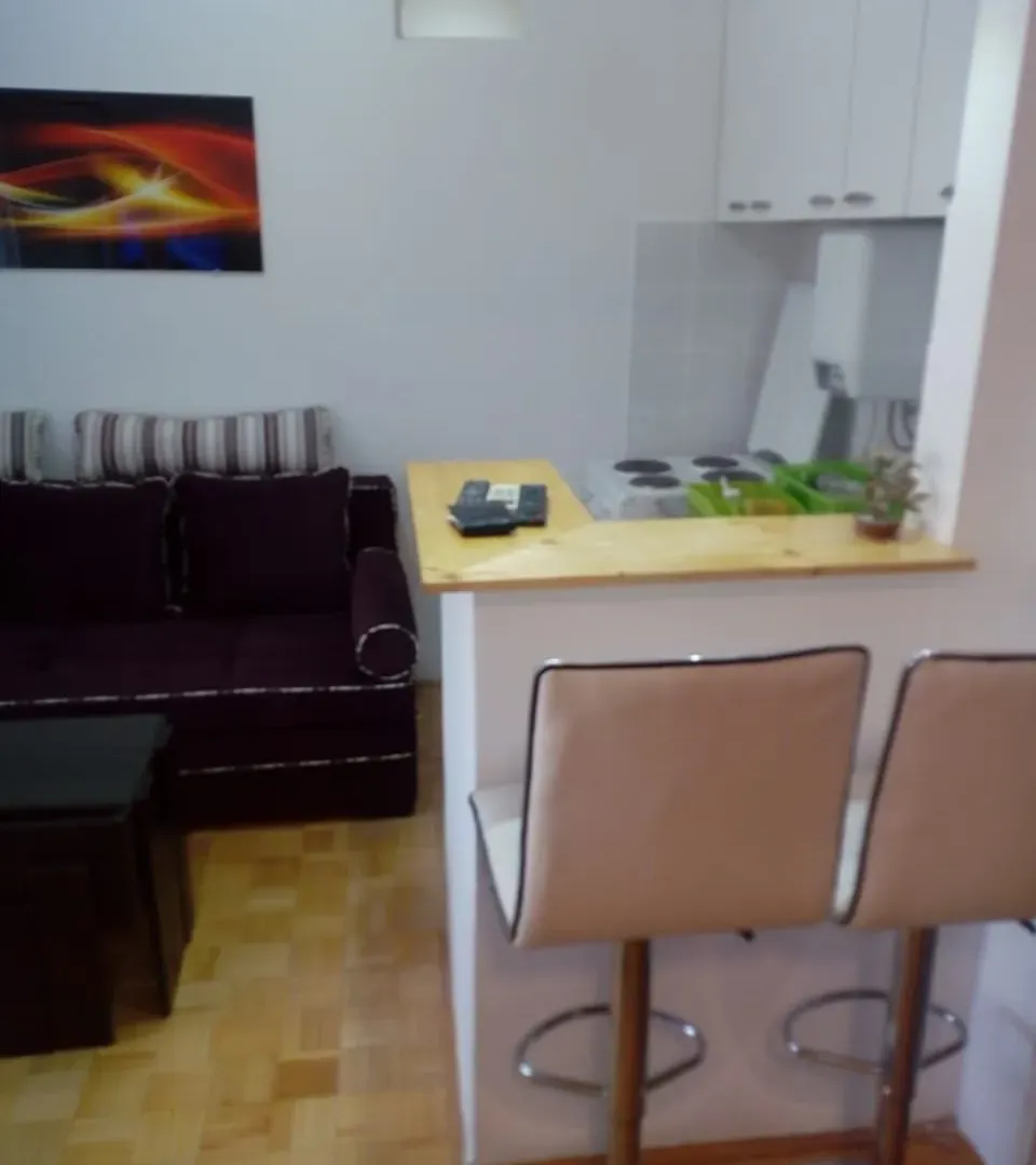 Izdavanje, jednosoban stan, 35m², Stari Aerodrom, Podgorica