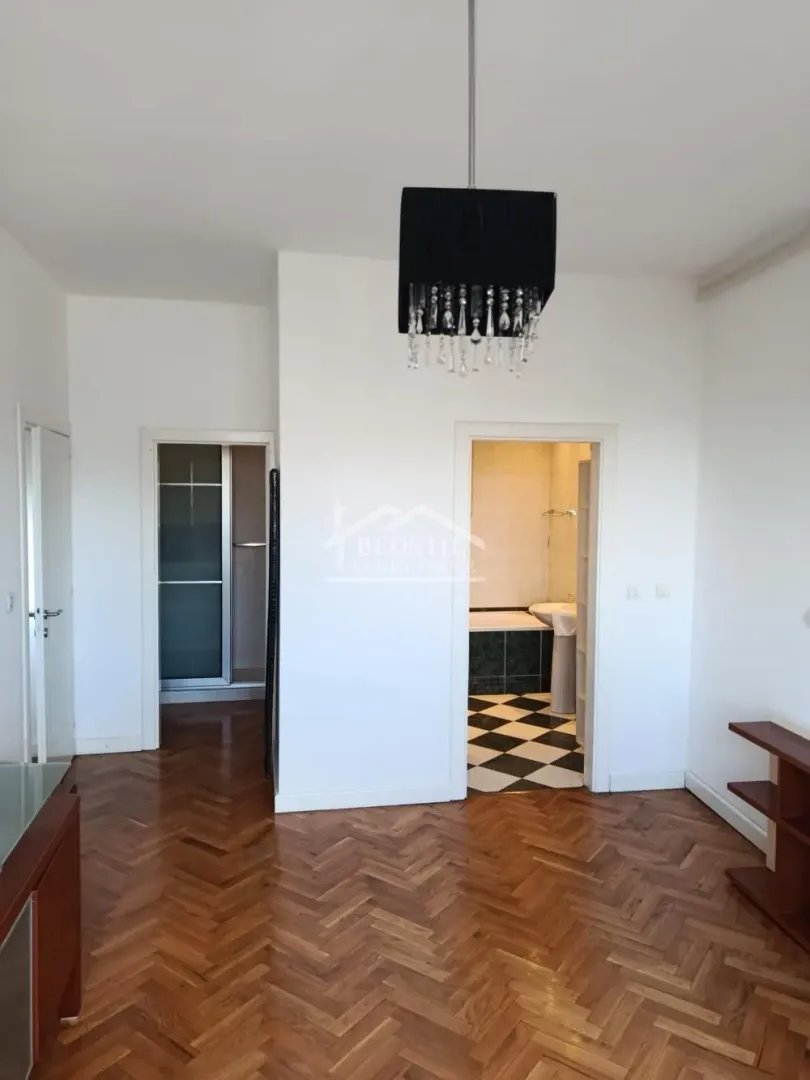 Rent, apartment, 370m², Botanička Bašta, Palilula Sve Podlokacije
