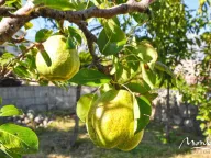 Sale, house, 100m², Prčanj, Kotor - image 20