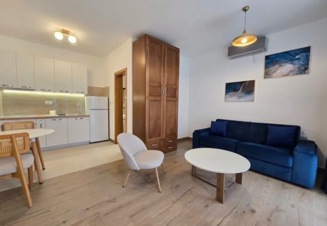 Izdavanje, garsonjera, 25m², Momišići, Podgorica