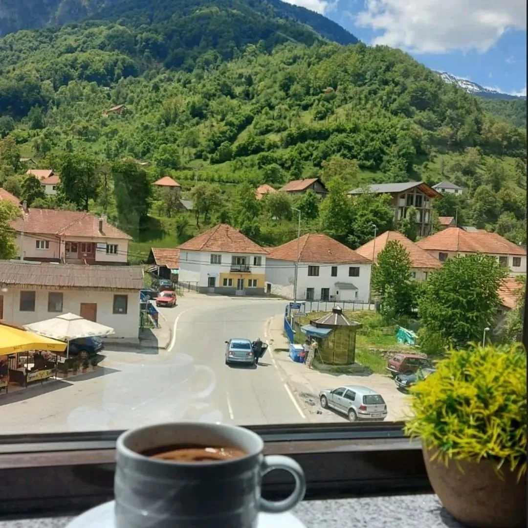 Prodaja, ugostiteljski objekat, 460m², Centar, Plav