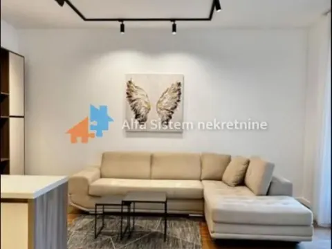 Izdavanje, dvosoban stan, 50m², Vračar Sve Podlokacije, Beograd - image 2