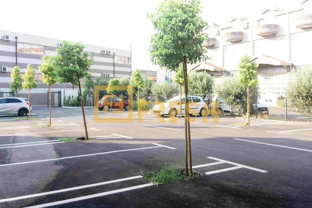 Asfaltirani parking prostor sa označenim mjestima i mladim stablima.
