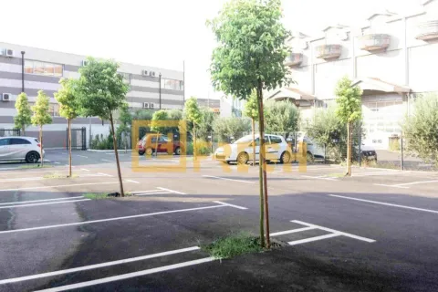 Asfaltirani parking prostor sa označenim mjestima i mladim stablima. - image 6