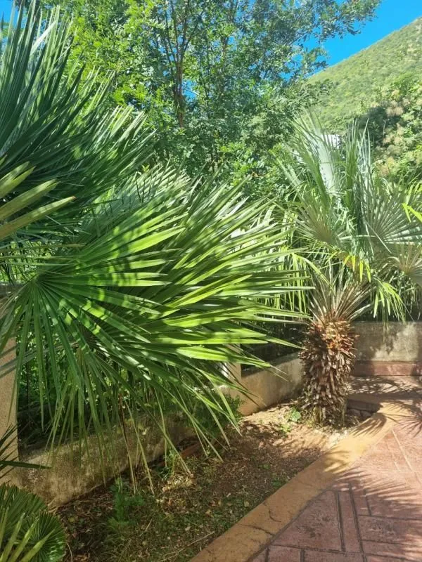 Sale, three bedroom apartment, 90m², Petrovac, Budva