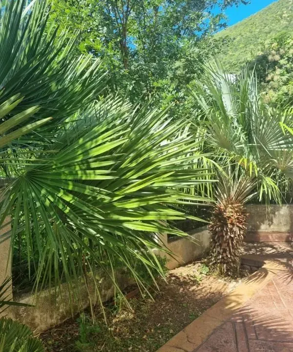 Sale, three bedroom apartment, 90m², Petrovac, Budva