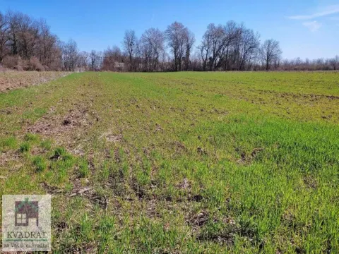 Sale, land lot, 182m², Brgule, Ub - image 2