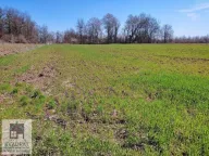 Prodaja, plac, 182m², Brgule, Ub - image 2