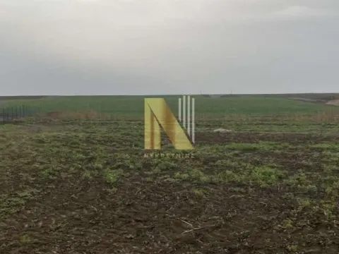 Sale, land lot, 2100m², Čurug, Žabalj - image 5