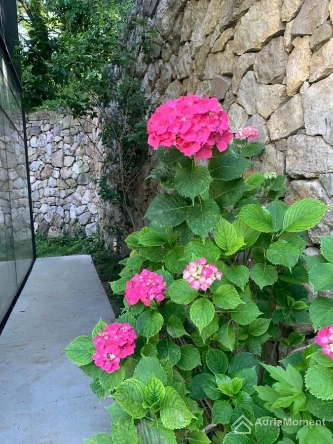 Sale, house, 350m², Prijevor, Budva