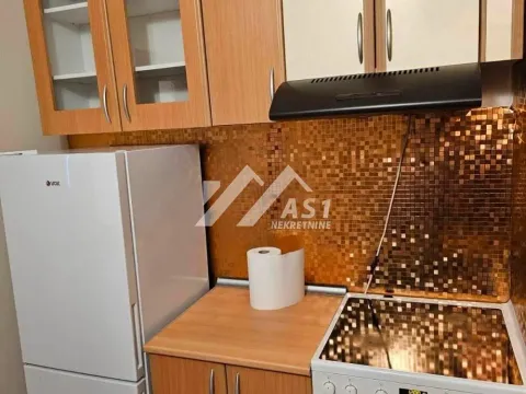 Izdavanje, dvosoban stan, 45m², Detelinara, Novi Sad Sve Podlokacije - image 3