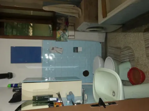 Prodaja, kuća, 450m², Majur, Jagodina - image 8