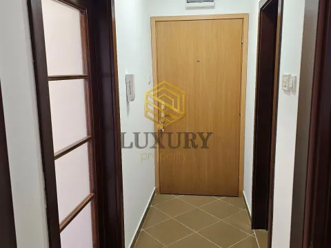 Izdavanje, jednosoban stan, 46m², Blok 6, Podgorica - image 2