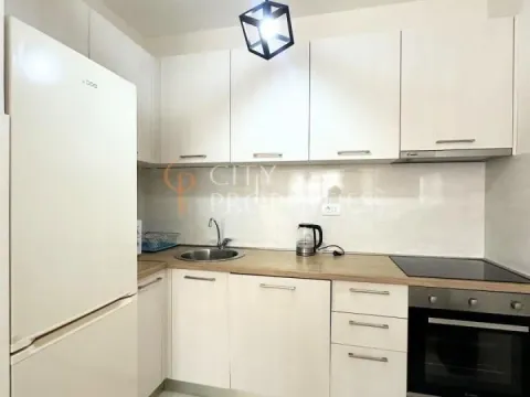 Izdavanje, stan, 49m², Central Point, Podgorica - image 12